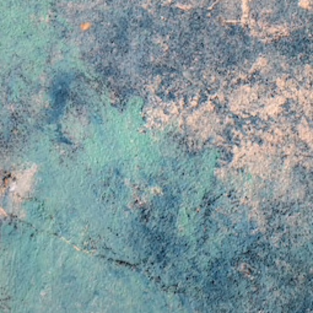 Meet your Posher, Annie